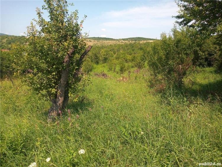 Teren de 1133 mp, în Central