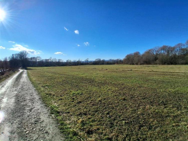 Teren intravilan de 14780 mp, în Grumăzești