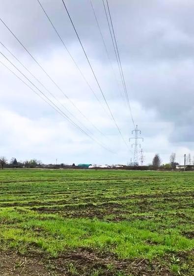 Teren agricol intravilan de 19650 mp, în Titu