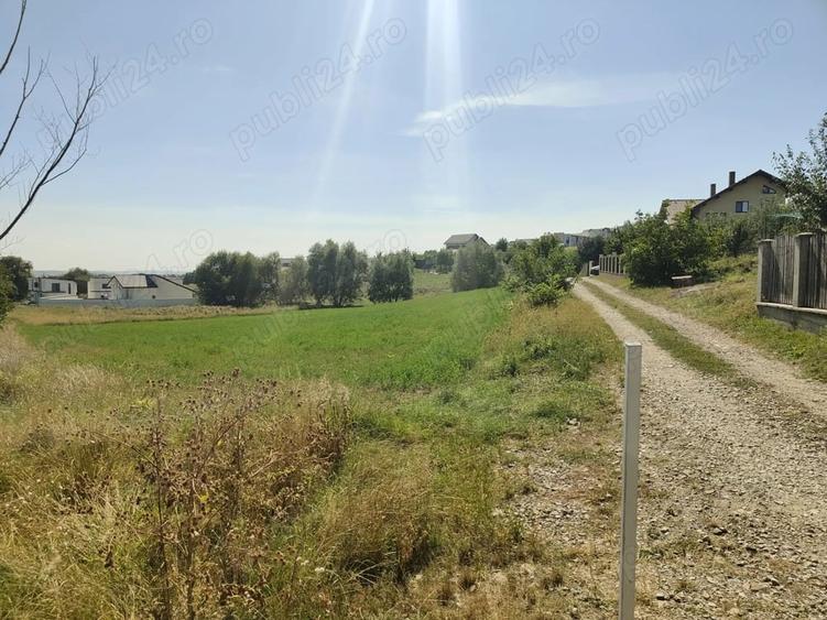 Teren de 3500 mp, în Moara