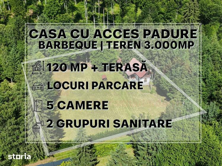 Proprietate Deosebita | Teren 3000 MP | Avrig | Acces Padure |VIDEO - 5
