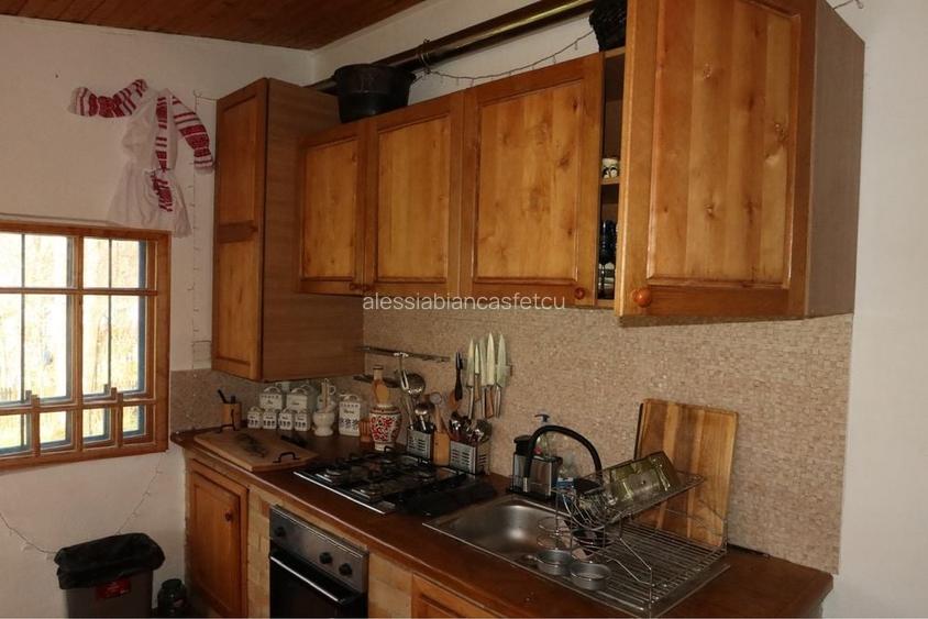 Proprietate de Vanzare - Conacul Plaiul Cailor Breaza -Casa de vacanta