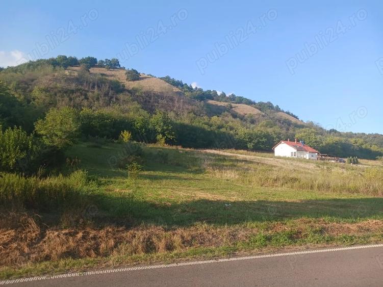Teren de 2800 mp, în Divici