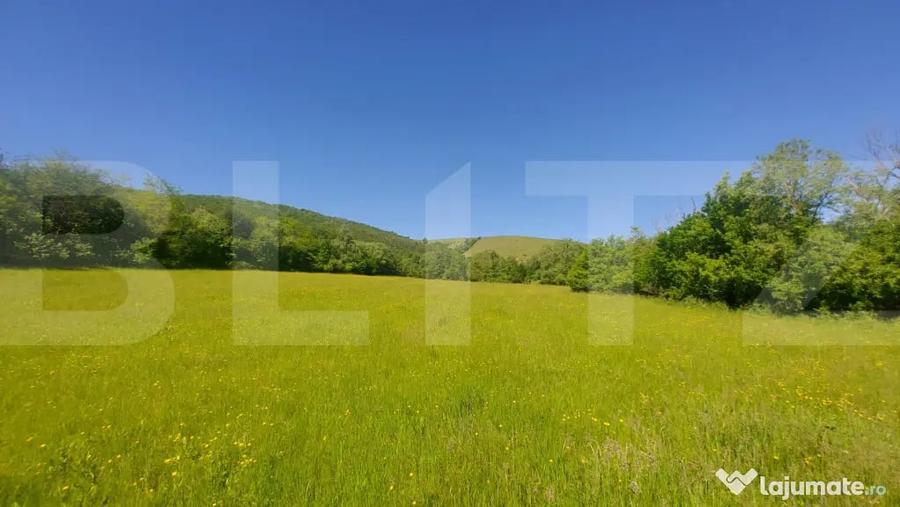 Investi?ie 3,6 ha Glamping, Pensiune sau Centru Ecvestr - 2