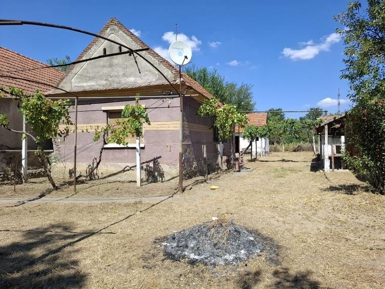 Casă cu 2 camere în Tileagd