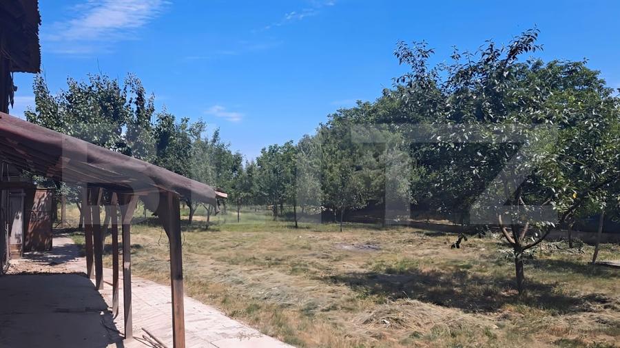 Spațiu comercial, de 7,900 mp, în Botiz