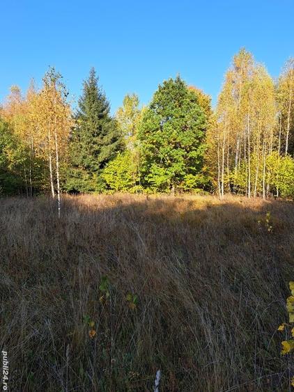 Teren de 2000 mp, în Băile Chirui