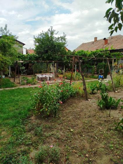 Casă cu 4 camere cu Teren 720 Mp în Central