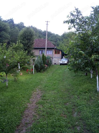 Casă cu 3 camere cu Teren 5400 Mp în Dumbrava