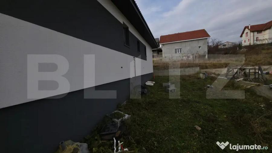 Casă cu 3 camere cu Teren 500 Mp în Viișoara