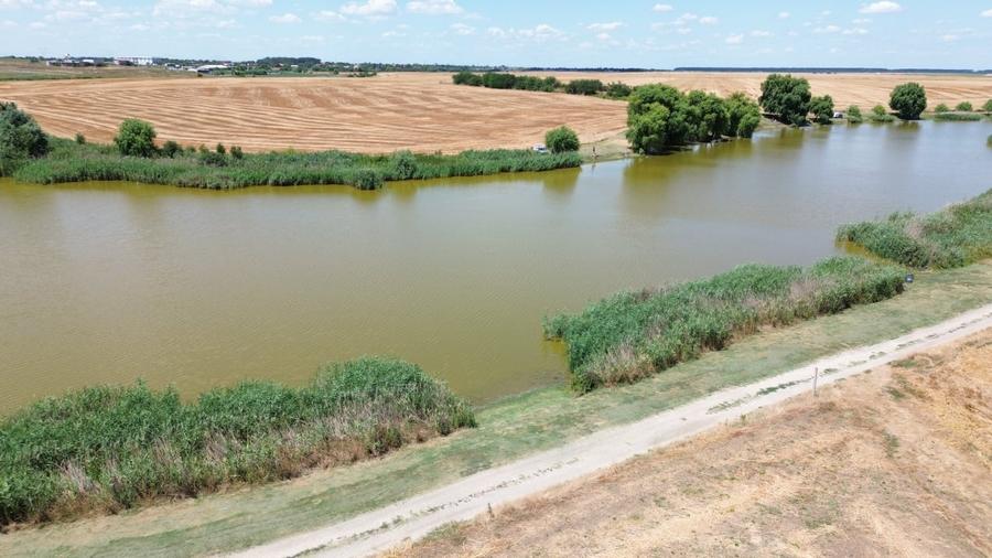 Teren Construcții extravilan de 6500 mp, în Frumușani