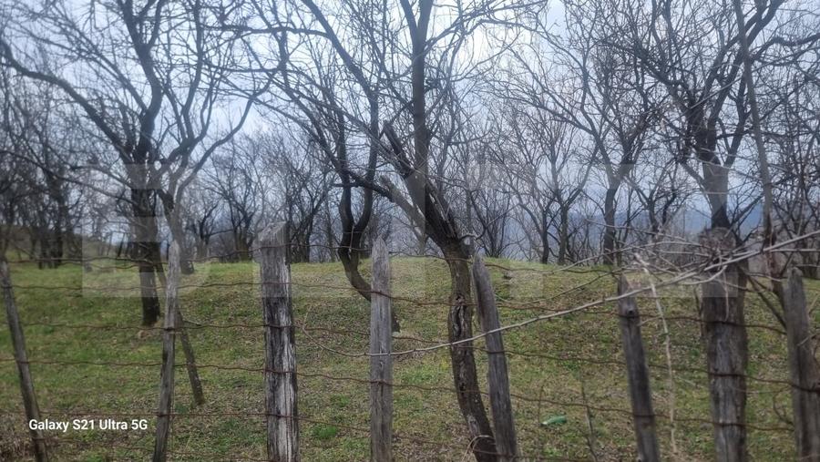 Teren Construcții intravilan de 3781 mp, în Schiulești