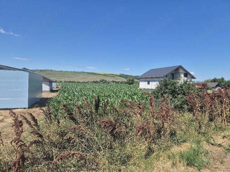 Teren de 4500 mp, în Codăești