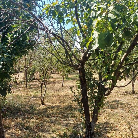 Casă cu 6 camere cu Teren 714 Mp în Săbăreni