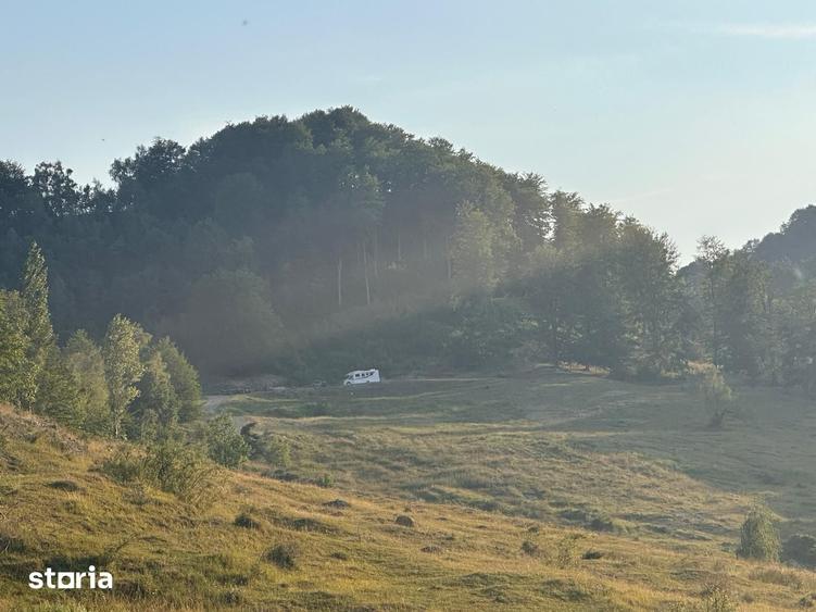 Teren de 13000 mp, în Talea