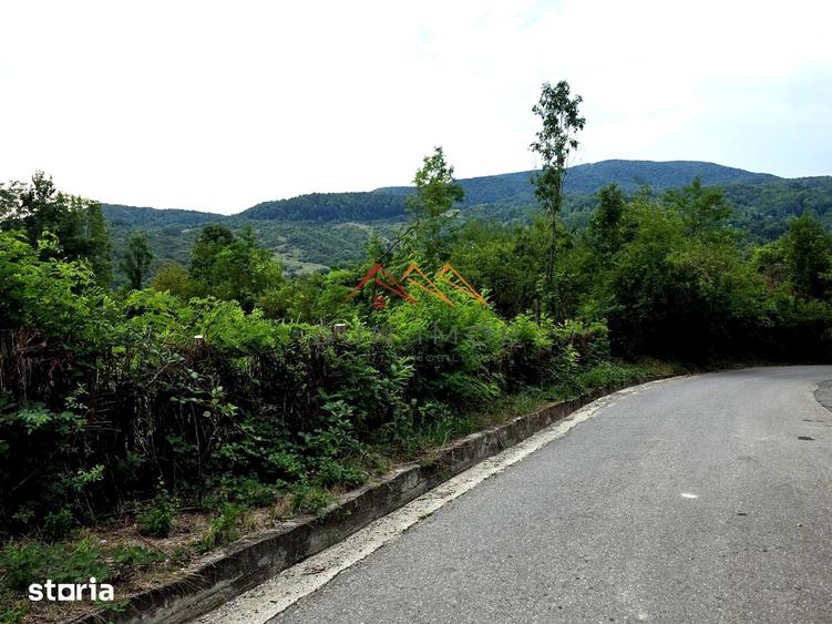 Teren de 2600 mp, în Provița de Jos