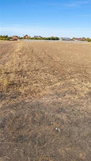 Teren intravilan de 5853 mp, în Gepiu
