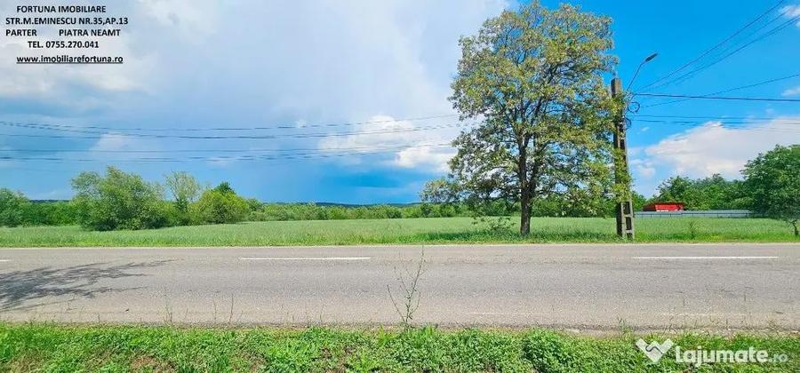 Proprietate com.Bodesti, casa + anexe + teren 7122 mp - 7