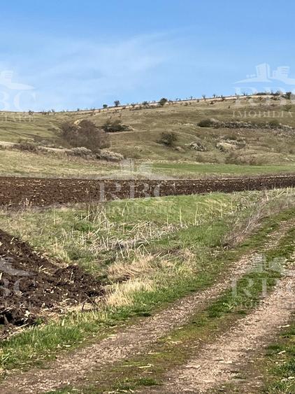 Teren extravilan de 6300 mp, în Gârbău
