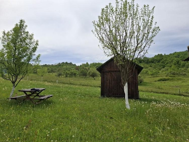 Spațiu comercial, în Rona de Jos