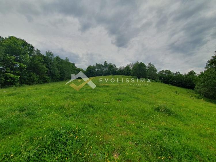 Teren Construcții intravilan de 11396 mp, în Moieciu de Jos