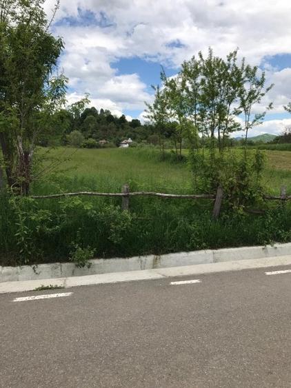 Teren Construcții intravilan de 2200 mp, în Valea Lungă-Cricov