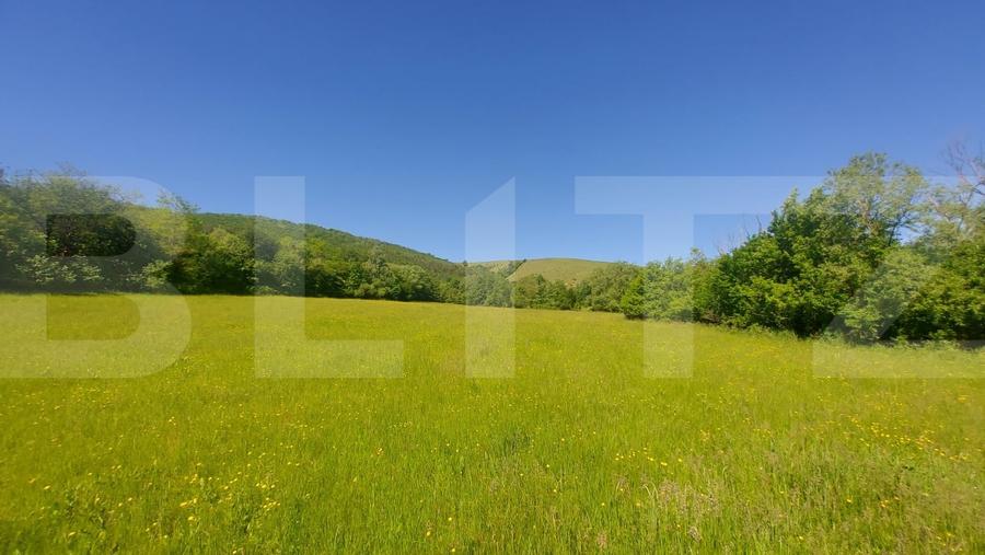 Teren agricol extravilan de 36200 mp, în Măgheruș