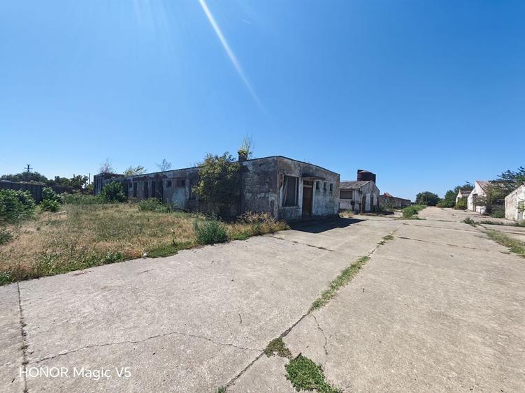 Spațiu industrial, de 7,950 mp, în Orțișoara