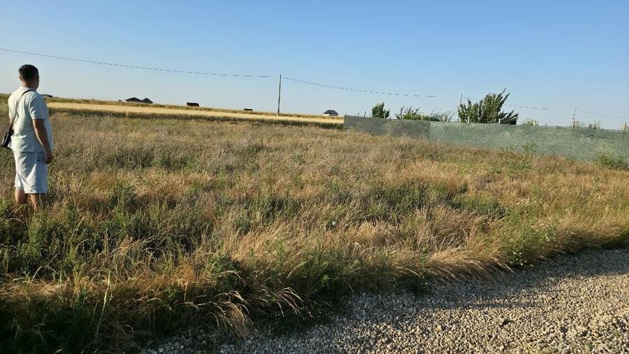 Proprietar Vand Teren Intravilan 500 mp Livada de Bihor Zona rezidentiala noua cu potential geotermal - 3