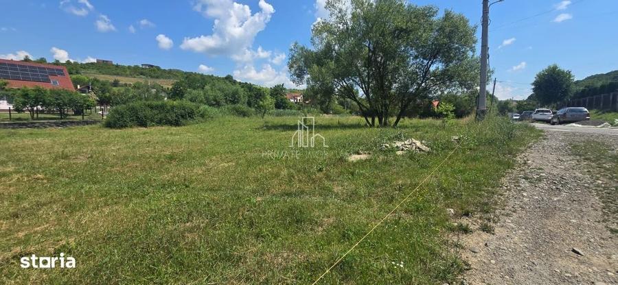 Teren 1 423 Mp Intravilan, Drum Asfaltat/Utilitati,Str Pasunii,Corunca - 6