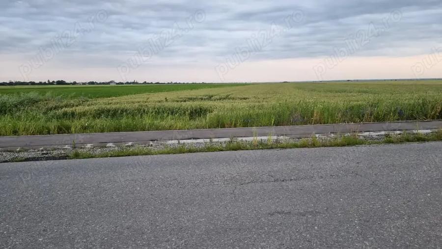 Teren de 30000 mp, în Filipeștii de Târg