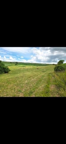 Teren agricol extravilan de 11500 mp, în Pata