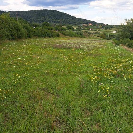Teren de 7000 mp, în Almașu Sec