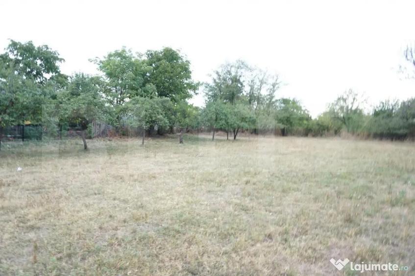 Teren de 1777 mp, în Buda (Ariceștii Rahtivani)