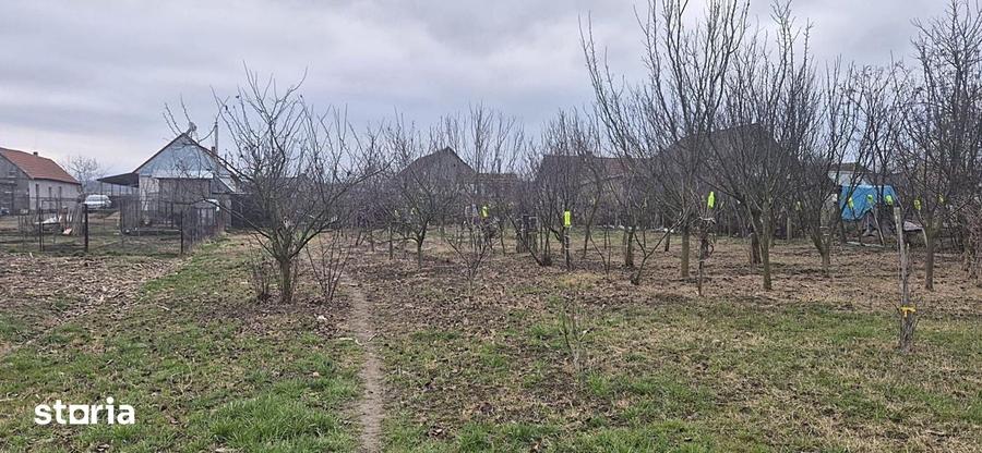 Casă cu 2 camere cu Teren 4000 Mp în Tăut