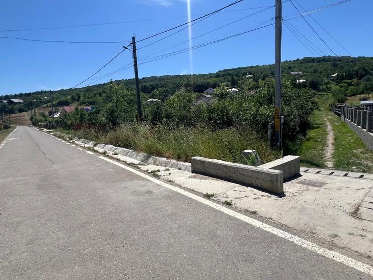 Teren pentru constructii case de vanzare Iasi Chiperesti - 1