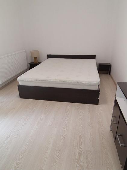 Apartament cu 2 camere decomandat în Dosu Bricii
