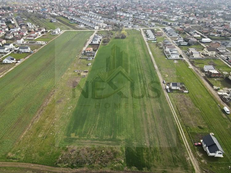 Teren de vanzare Berceni Str. Campului~ Oportunitate de investitie - 5