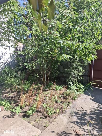 Casă cu 3 camere cu Teren 200 Mp în Ghencea