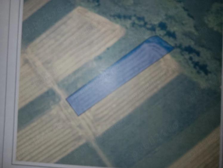 Teren de 2439 mp, în Moara Vlăsiei