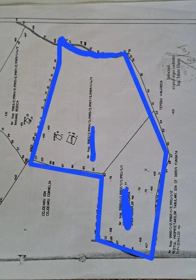 Teren de 40000 mp, în Șirnea