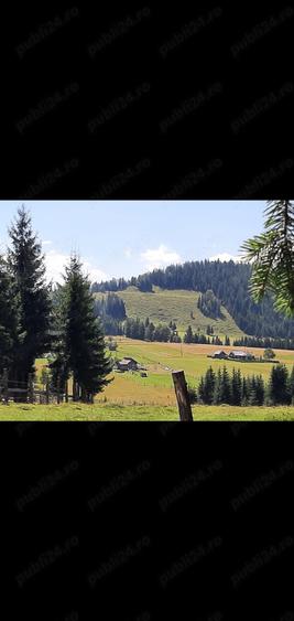 Teren de vanzare in com. Fundu Moldovei - 4