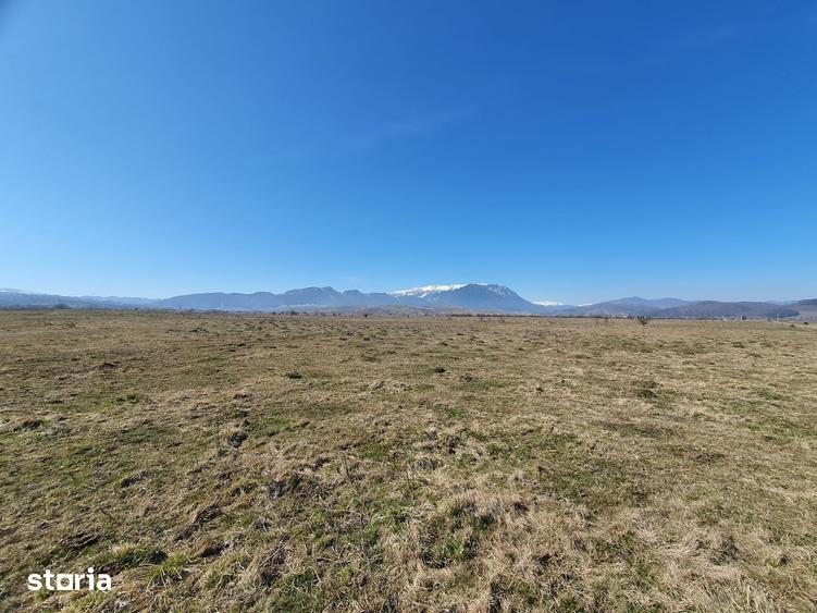 Teren de 3900 mp, în Central