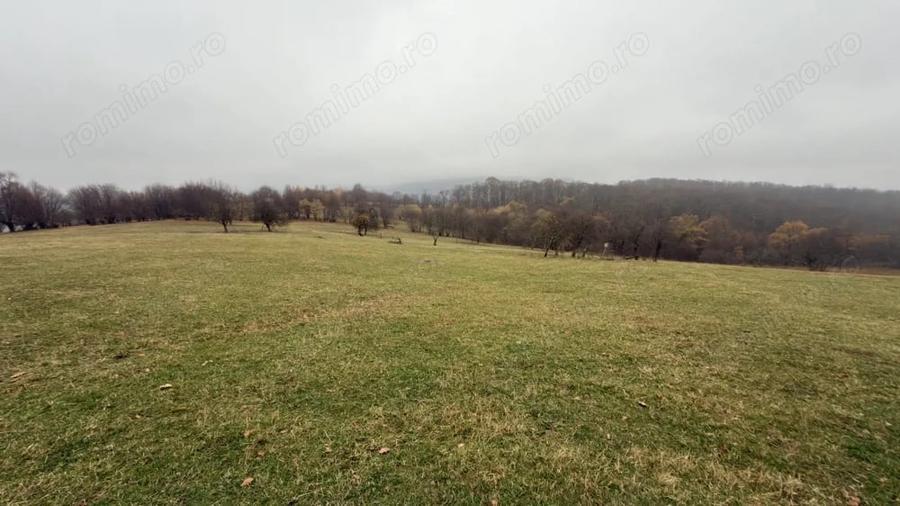 Teren de 35000 mp, în Cisnădioara