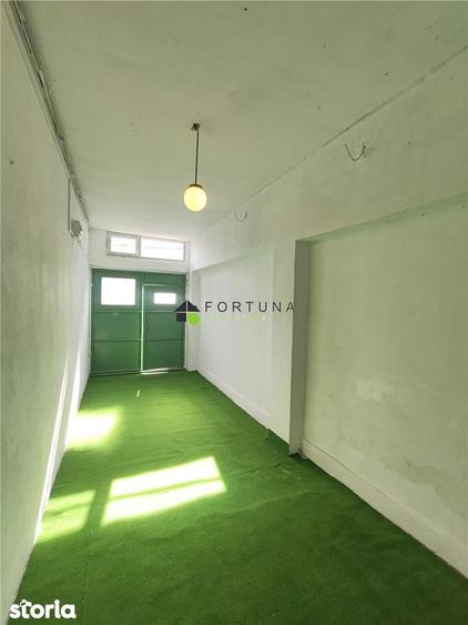 Casa singur in curte - Florilor - 20