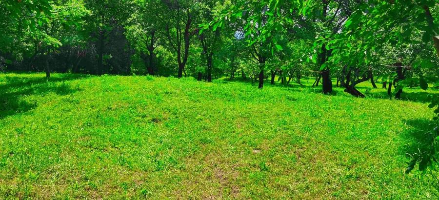 Teren Construcții intravilan de 9289 mp, în Breaza