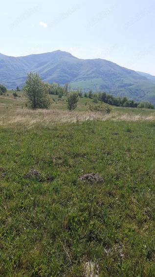 Teren în Cornereva