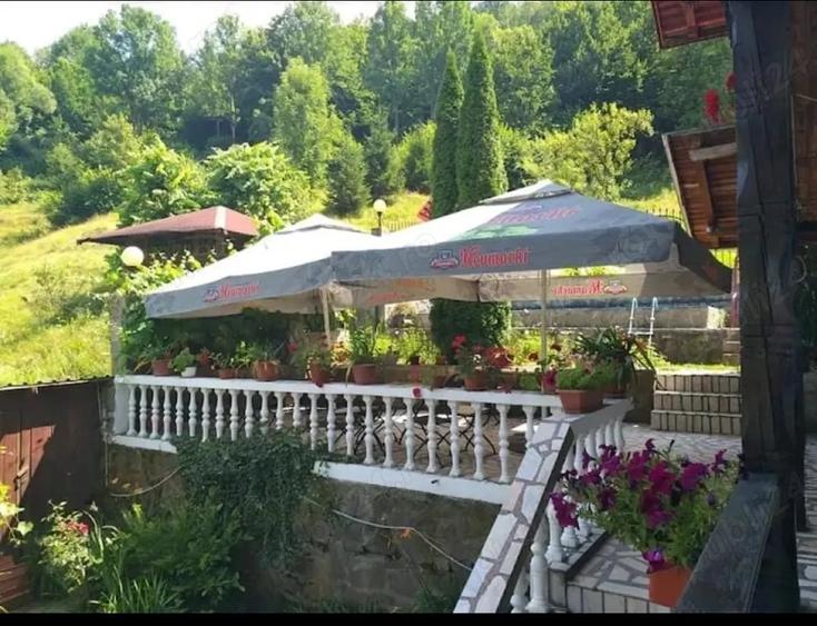 Spațiu comercial, de 400 mp, în Văliug