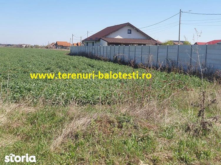 Teren Balotesti 600 mp,langa casa locuita,electricitate ,gaz-70 metri - 2