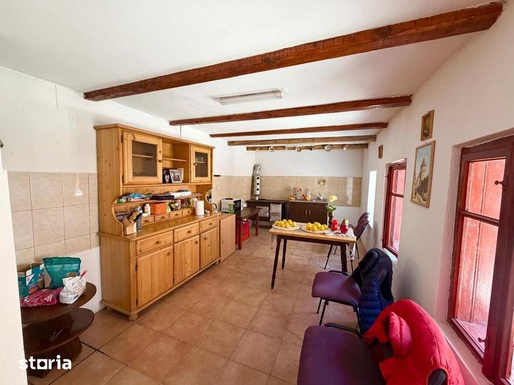 Casa pe un singur nivel+2974mp teren in Aciliu - 7
